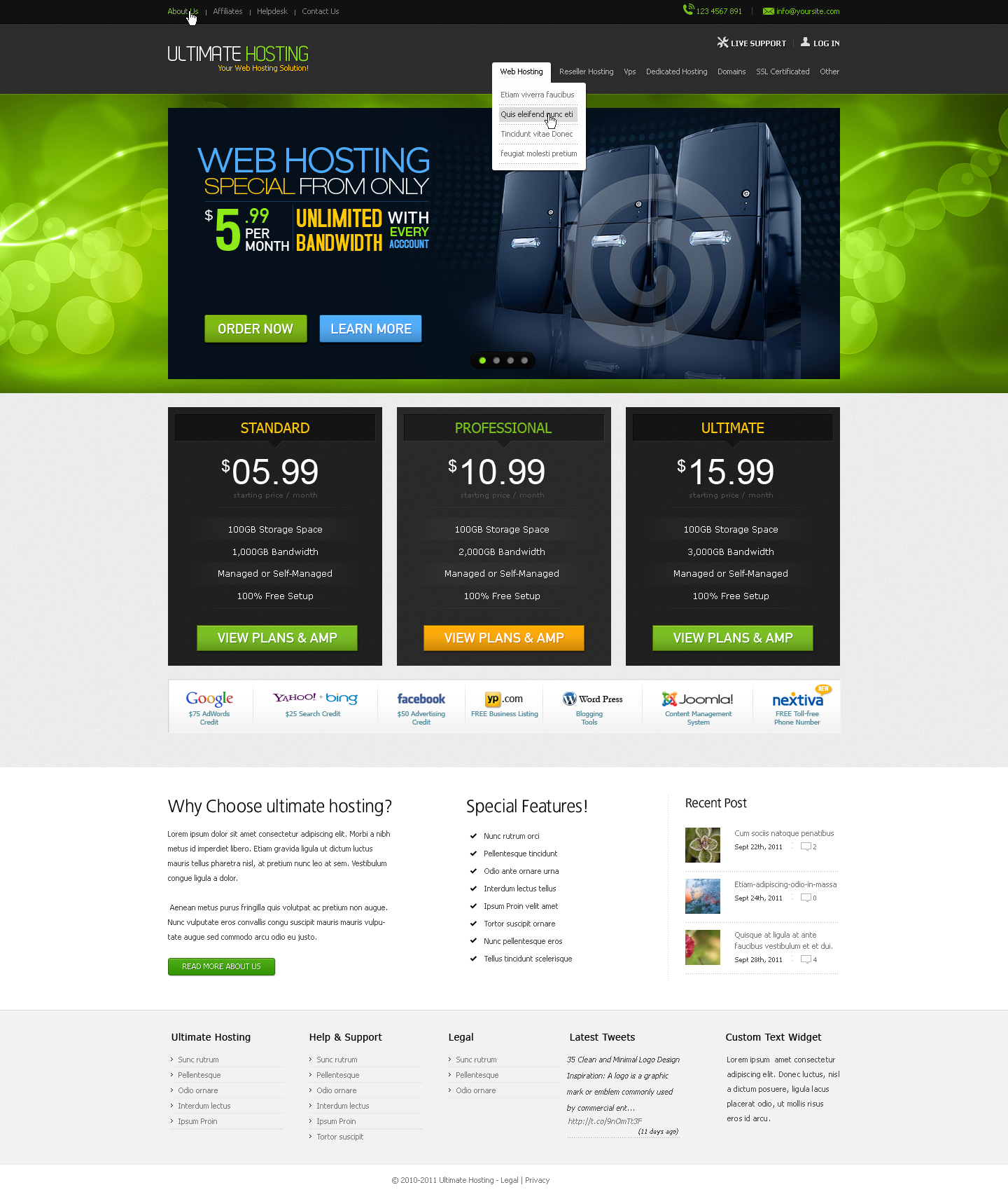 Web Hosting