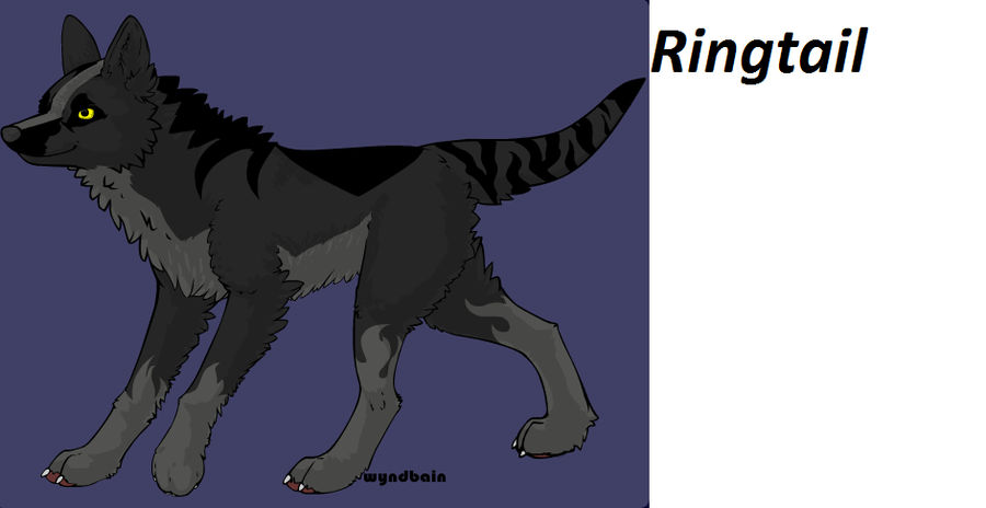 Deviantart Ringtail RingTail by AkariTheWolf96 on DeviantArt
