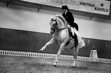 Dressage