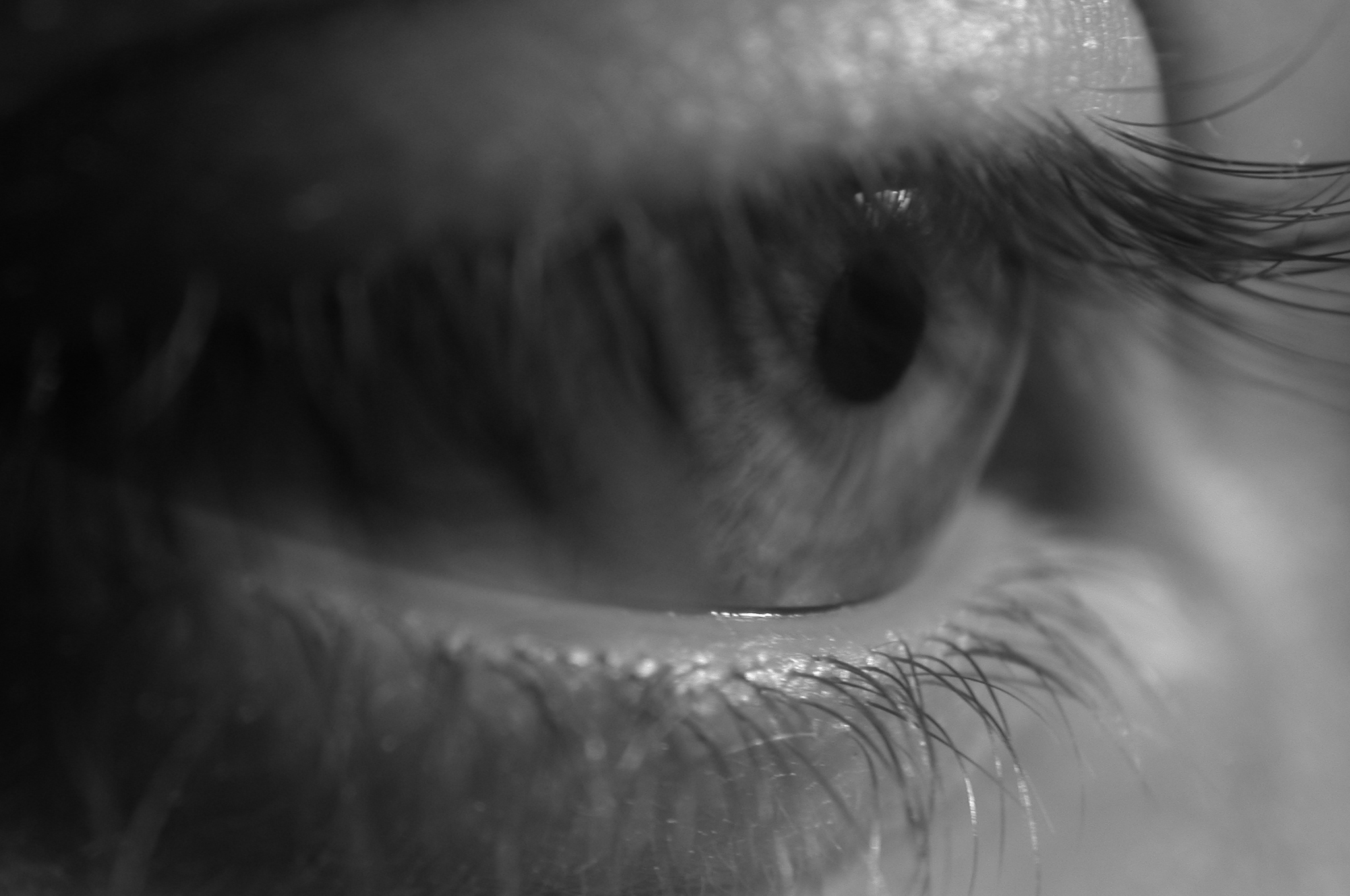 macro - eye