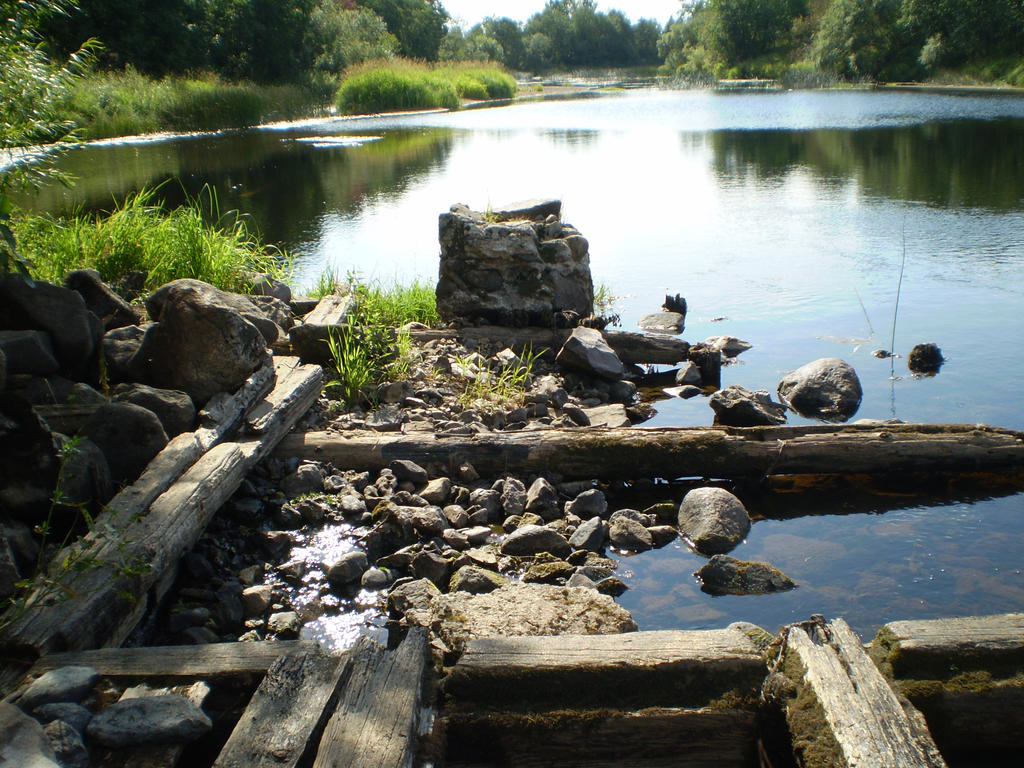 On the river