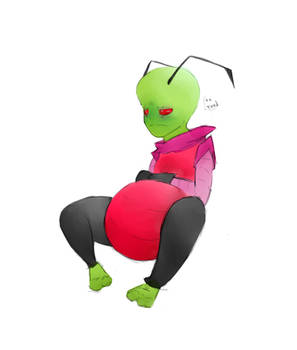 Preggy zim