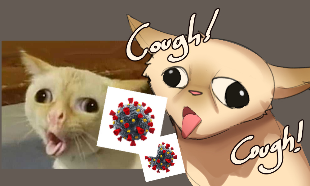 Viral cat coughing meme