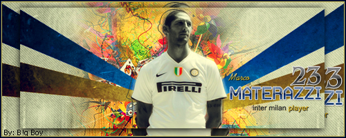 Marco Materazzi V1