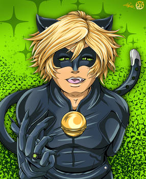 Chat Noir Smile