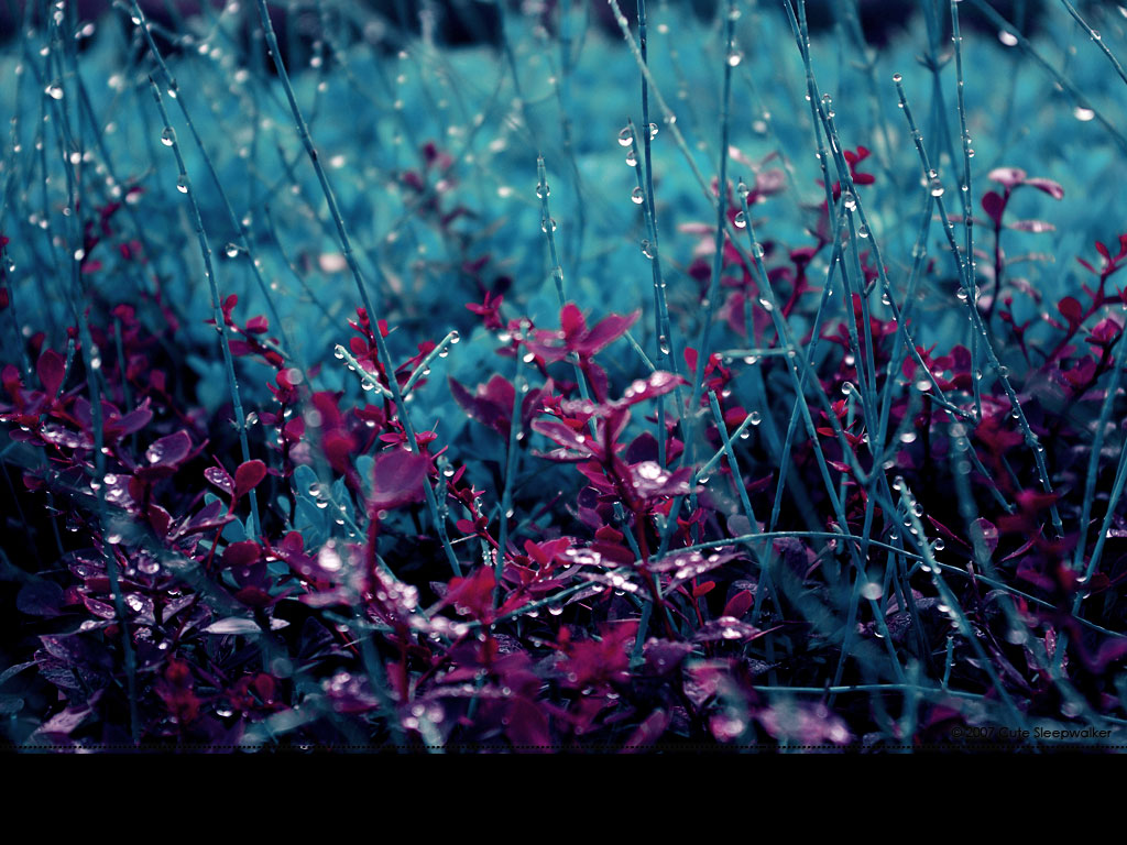 June 15:crying grass. by Cute-Sleepwalker
