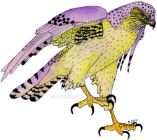 Hopping Dashed Hawk