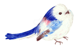 Little Bird