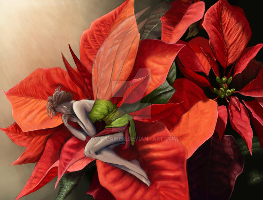 Poinsettia Fairy