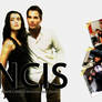 NCIS Wallpaper White