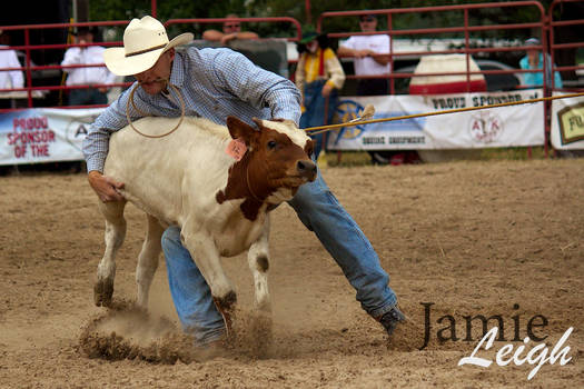 Rodeo 2011 - 1