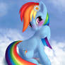 RainbowShy