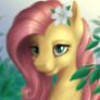 Fluttershy portrait