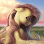 Shy Pony