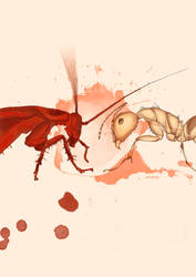 ant versus coacroach