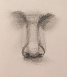 Nose practice 