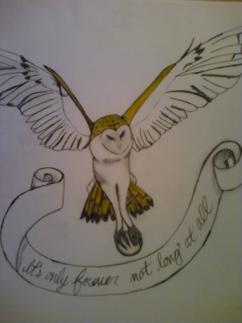 Labyrinth Owl Tattoo Design by silvervixen156 on DeviantArt labyrinth-owl-tattoo-design-by-silvervixen156-on-deviantart