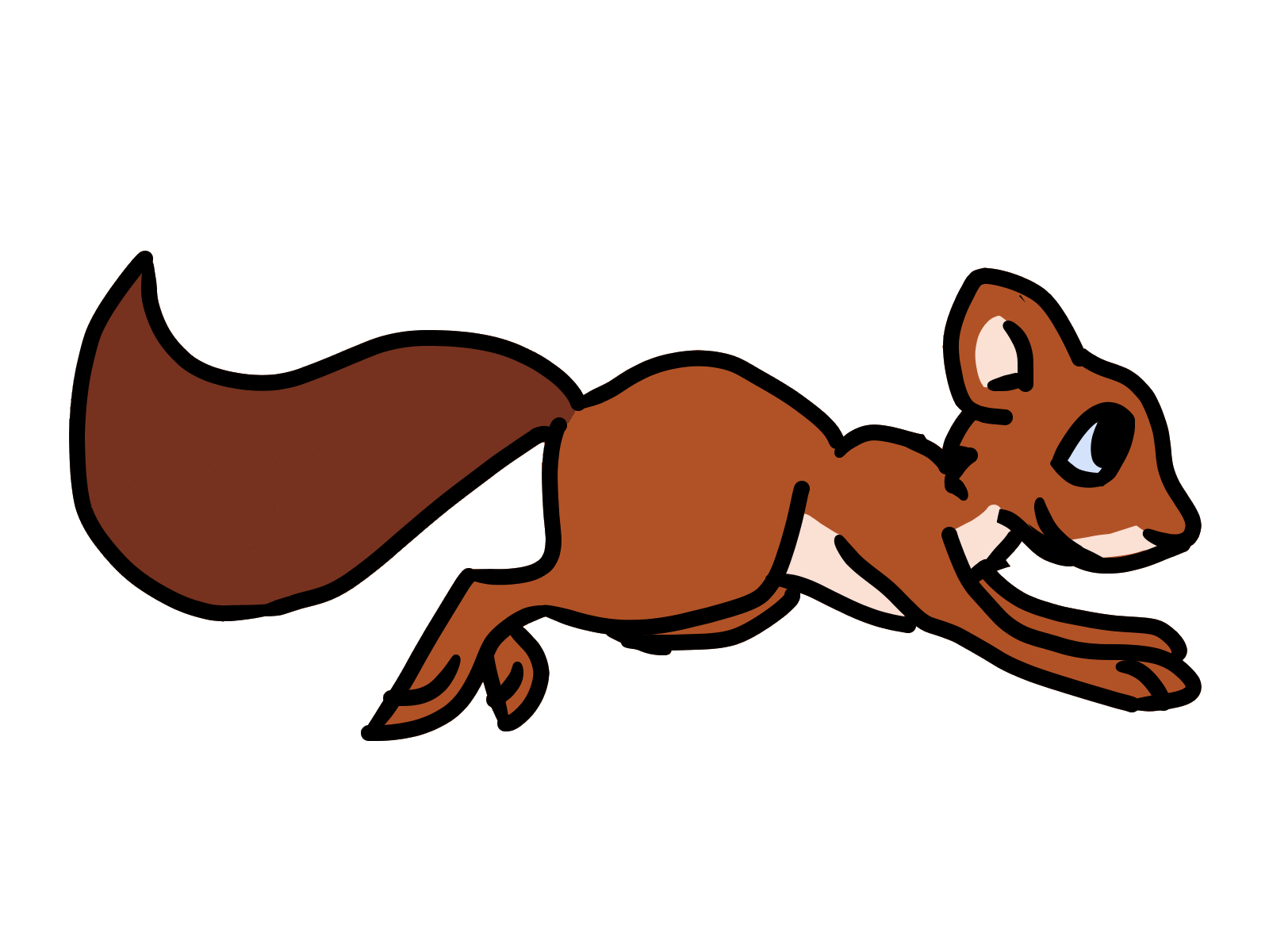 Squirrel Running Cycle by TheNuttyWhitie on DeviantArt Squirrel Running Cycle by TheNuttyWhitie on DeviantArt