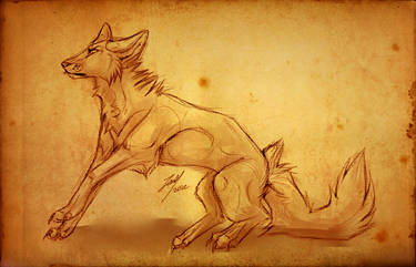 :COLLAB: Fox Textured Sketch