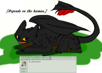 Ask Toothless 4: Do I like Humans?