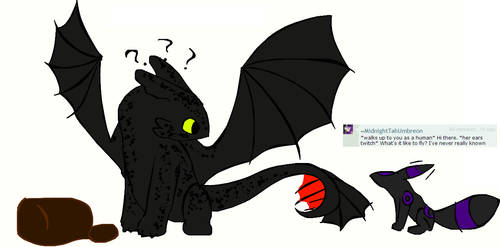 Ask Toothless 5: What Are You?