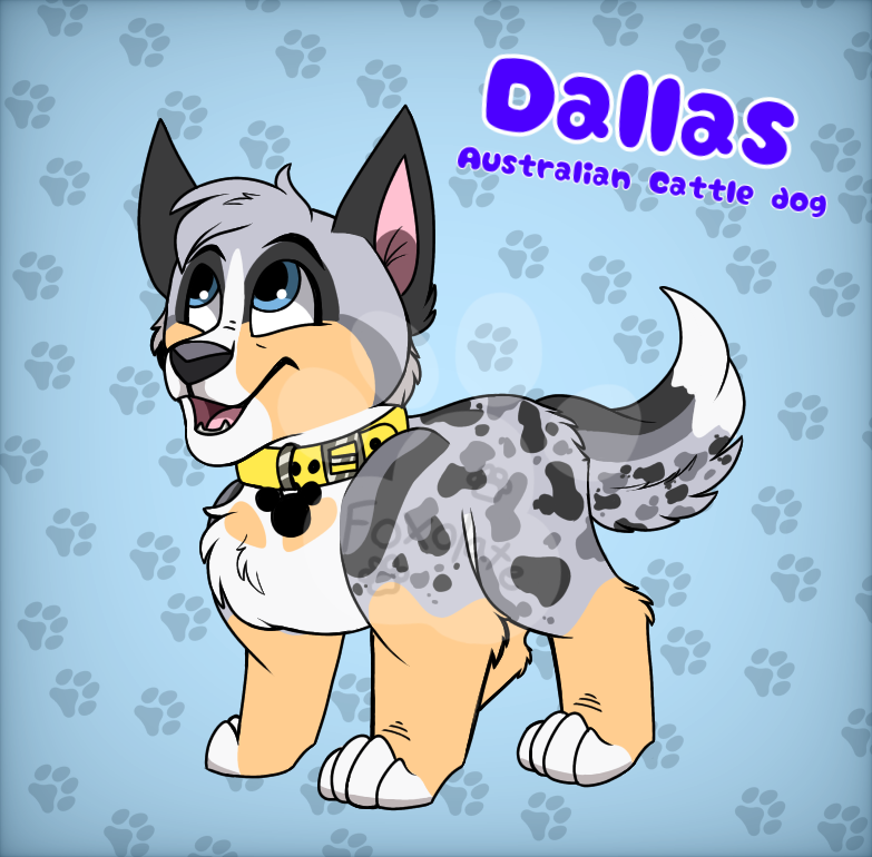 Dog 2024 dog pals