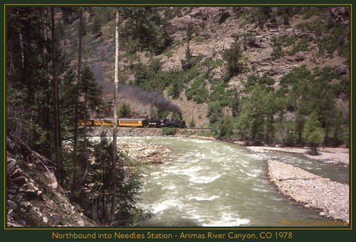 Northbound into Needles Station