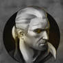 Geralt of Rivia - The White Wolf