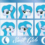 MLP OC Expressions : Swift Gale