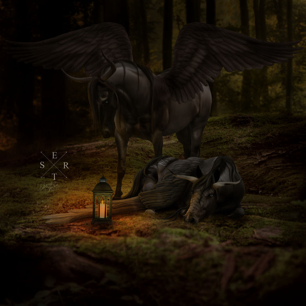 somewhere only we know ::. by elegantslumber