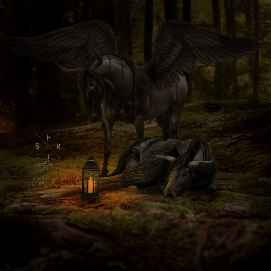 somewhere only we know ::. by elegantslumber