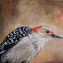 Redheaded Woodpecker