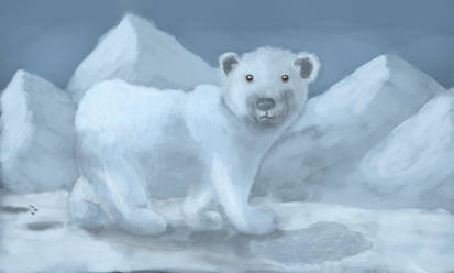 White Bear