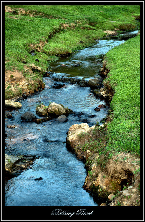 Babbling Brook