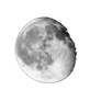 Moon Stock