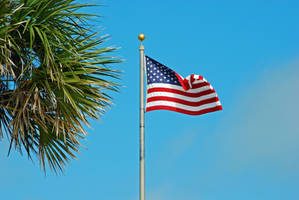 Waving In The Southern Breeze