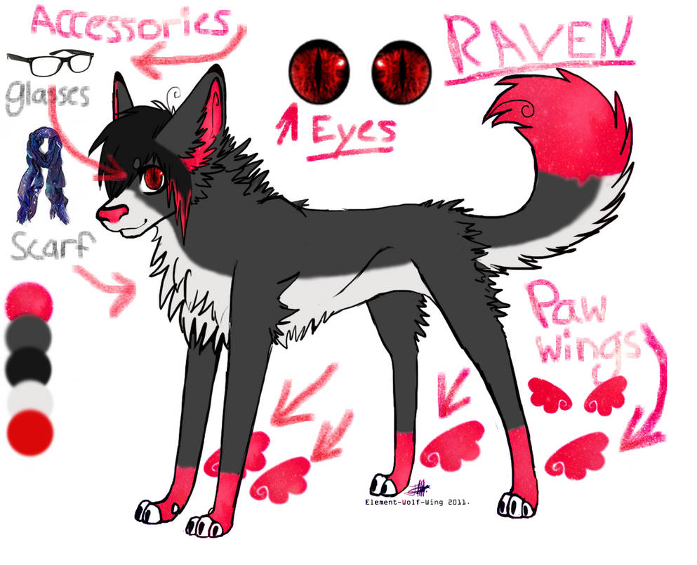 raven reference (old) by emiyuu on DeviantArt