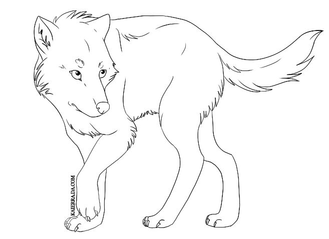Basic Wolf Lineart Wolf Lineart by kckincaid on DeviantArt