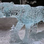 Ice Leopard