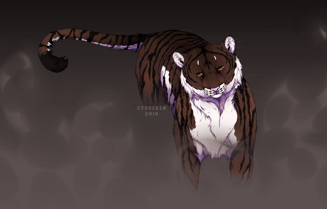 I tried to be where you are