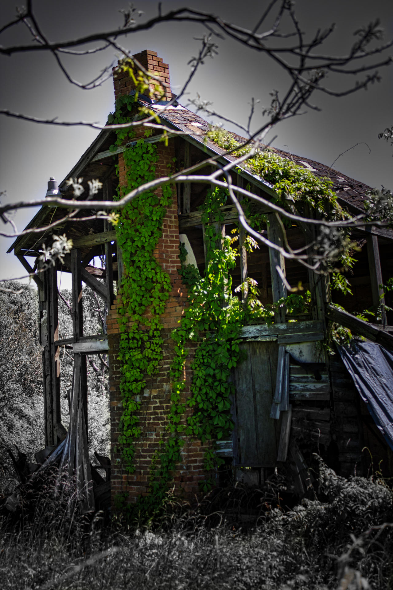Beautiful Decay by PeppermintPics on DeviantArt