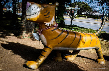 Tiger Strut Explore the Best Tigerstrut Art | DeviantArt