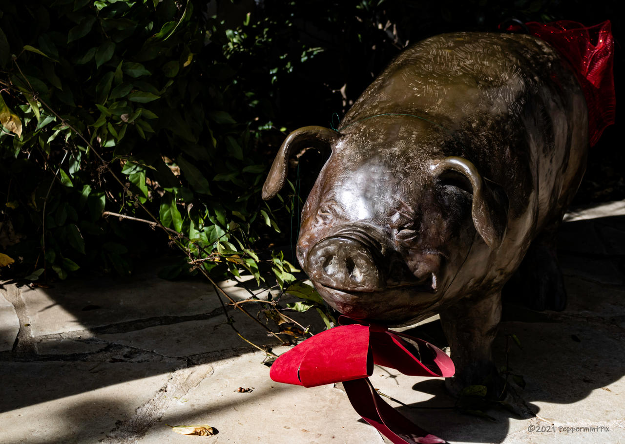 Wilbur Pig By PeppermintPics On DeviantArt
