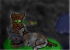 briarlight grooming jayfeather