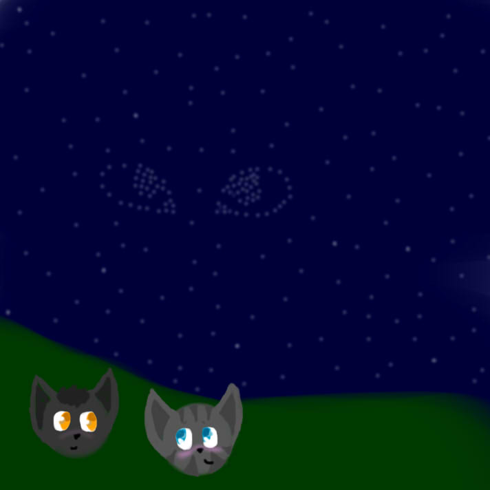 starclan's a stalker greyXsliver