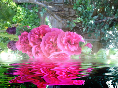 Reflect Image Pink Pink Reflect by TheWightGraphics on DeviantArt