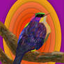 Bird roosting
