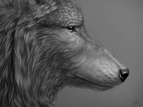 Wolf (Profile)