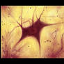 Neuron