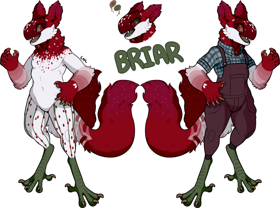 New Ref - Briar